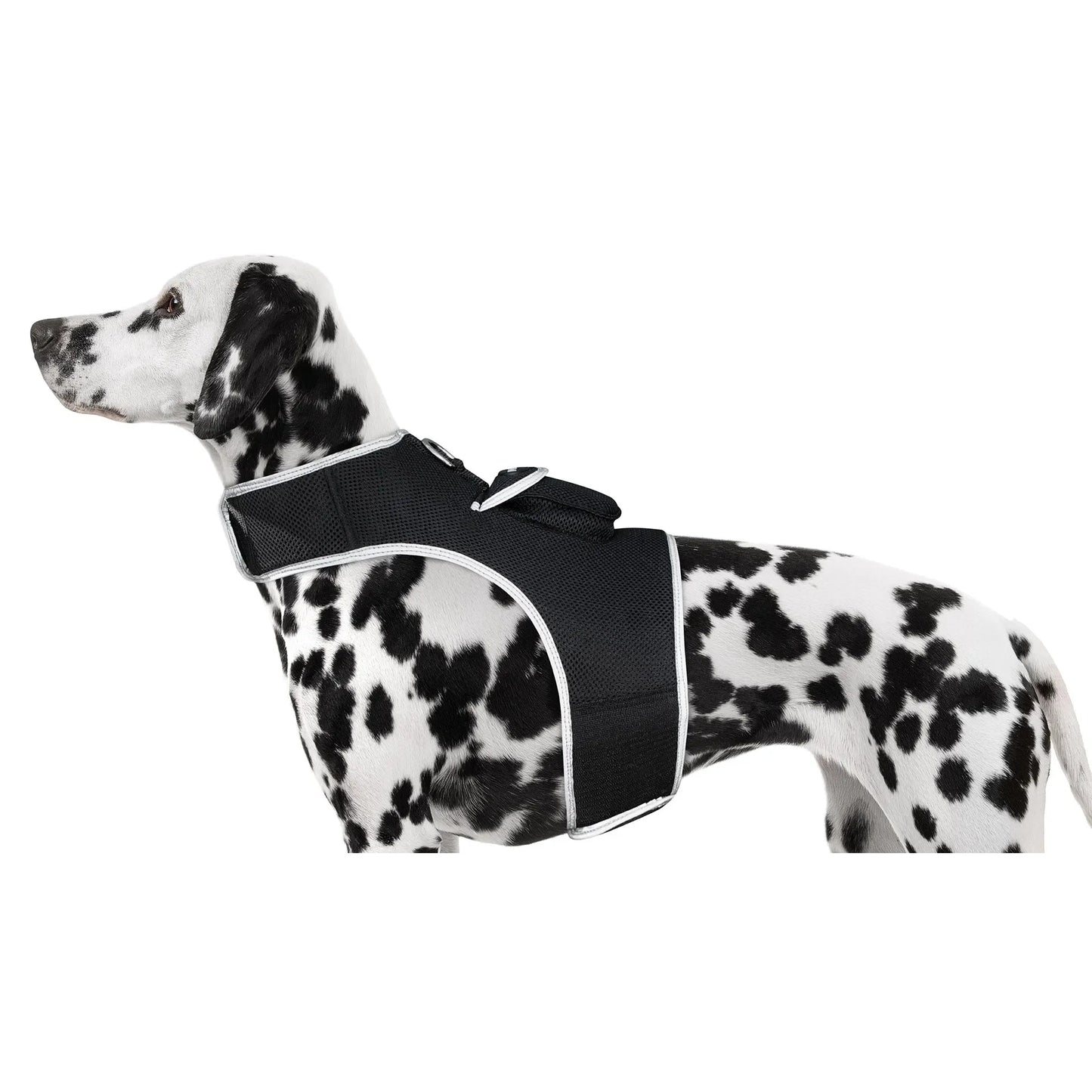 Smart Activity Tracker Real Time Android GPS Pet Tracker XS