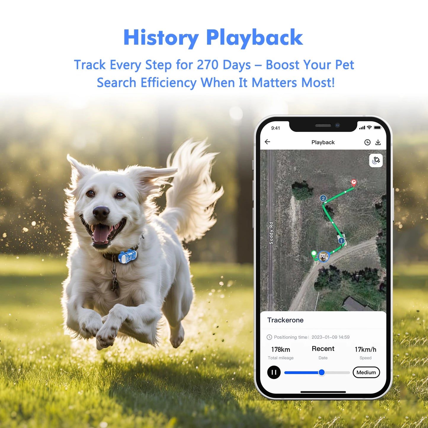 4G GPS Tracker Dog Cat Waterproof Locator App Live Tracking