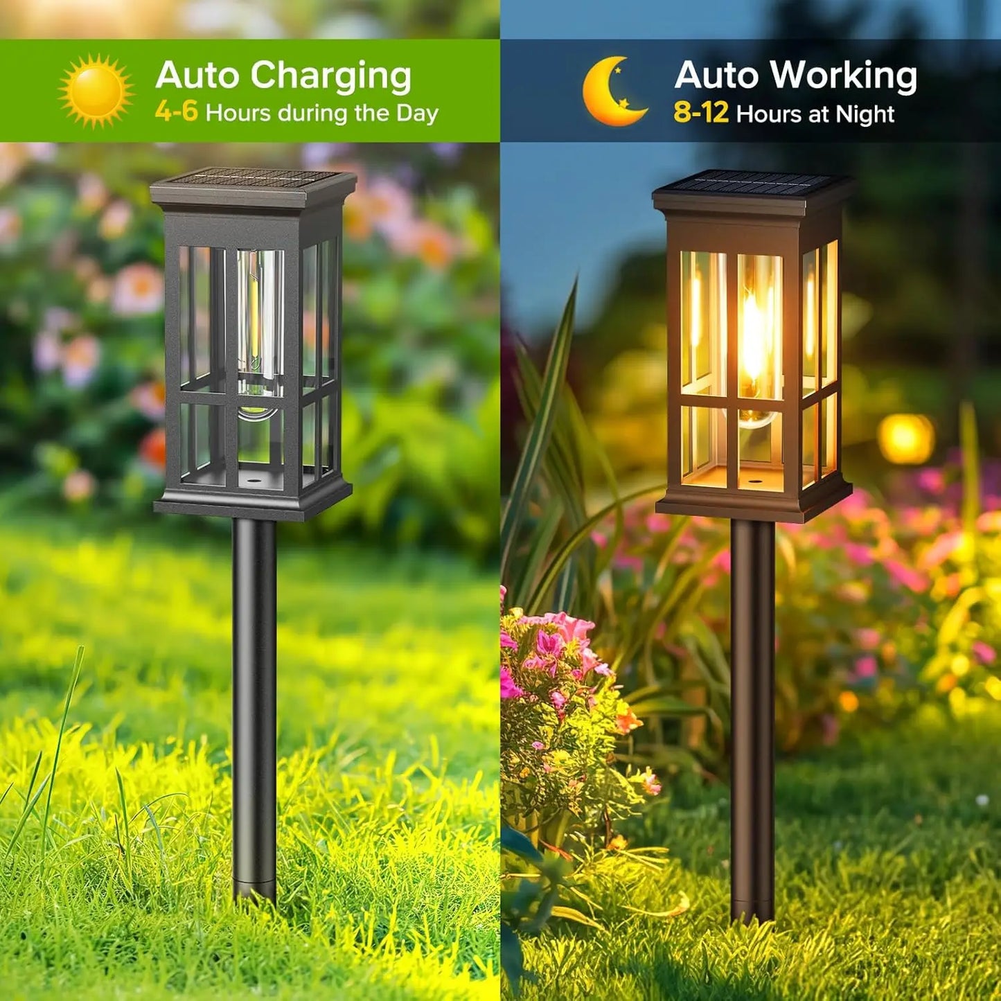 2 6 8 Pack Solar Pathway Lights Super Bright Outdoor LED
