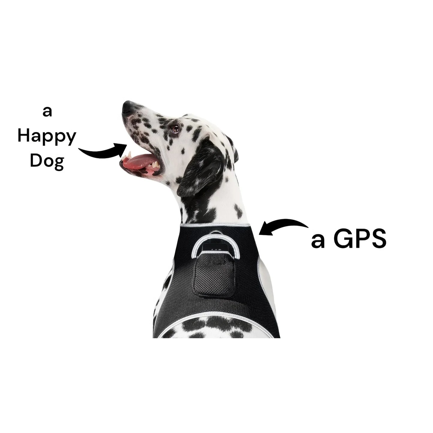 Smart Activity Tracker Real Time Android GPS Pet Tracker XS