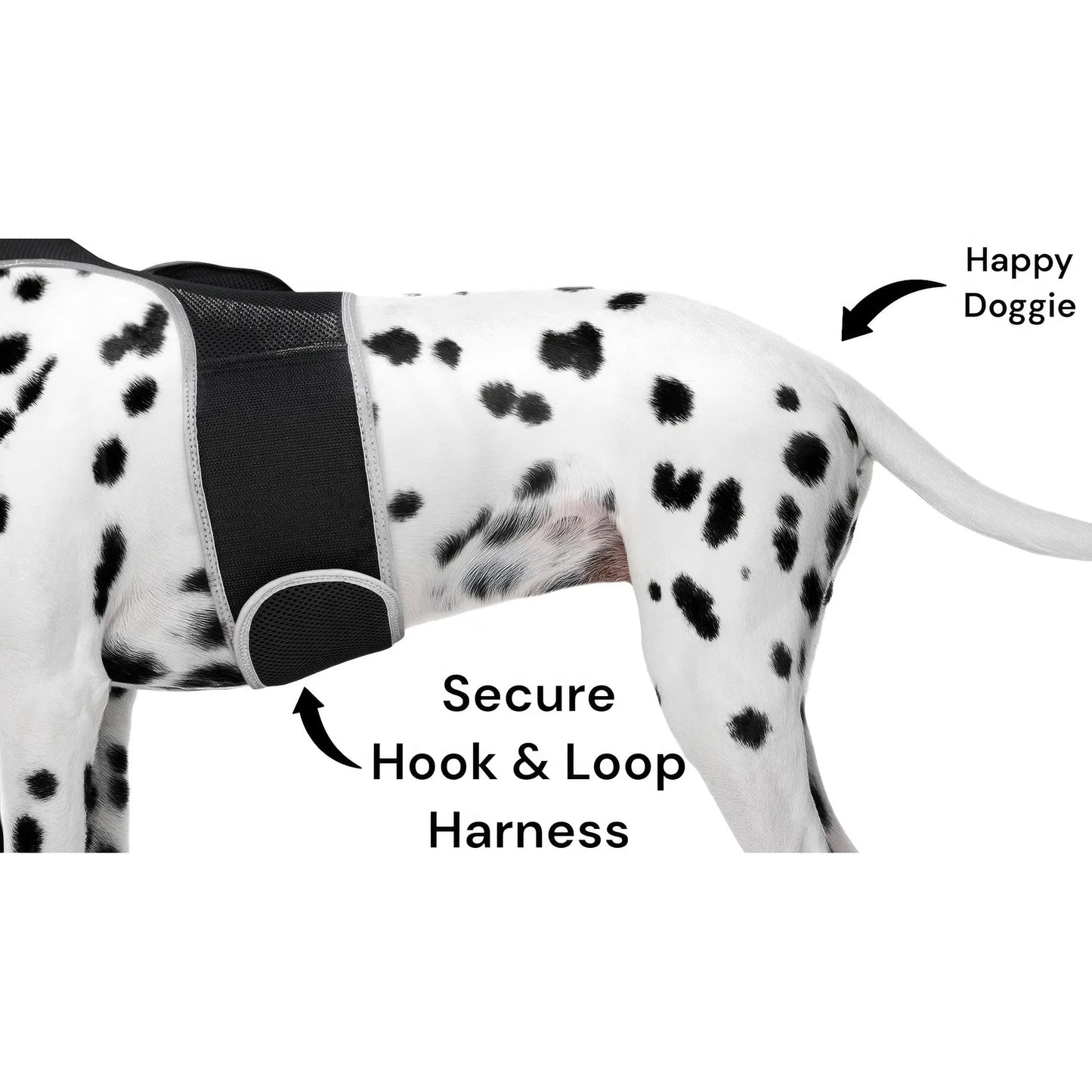 Smart Activity Tracker Real Time Android GPS Pet Tracker XS