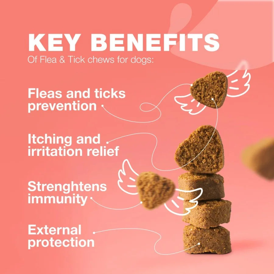 Dog Flea and Tick Treatment Chews Natural Flea Tick Prevention Soft Chewable Treats for Dogs Immune Support