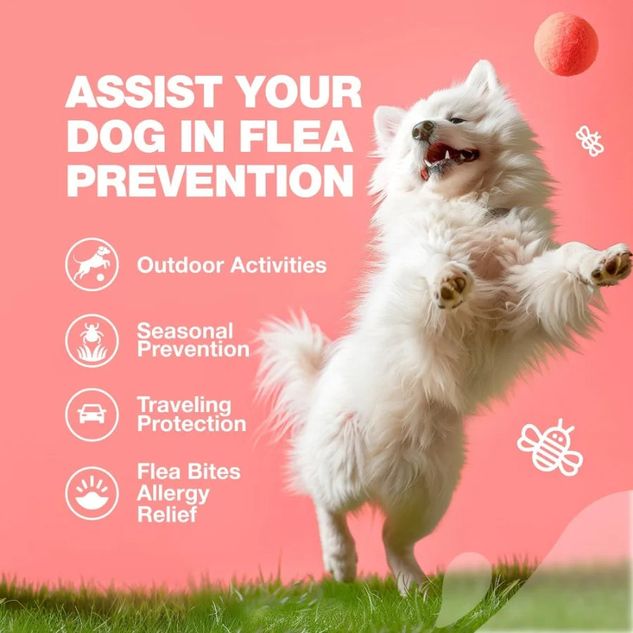 Dog Flea and Tick Treatment Chews Natural Flea Tick Prevention Soft Chewable Treats for Dogs Immune Support