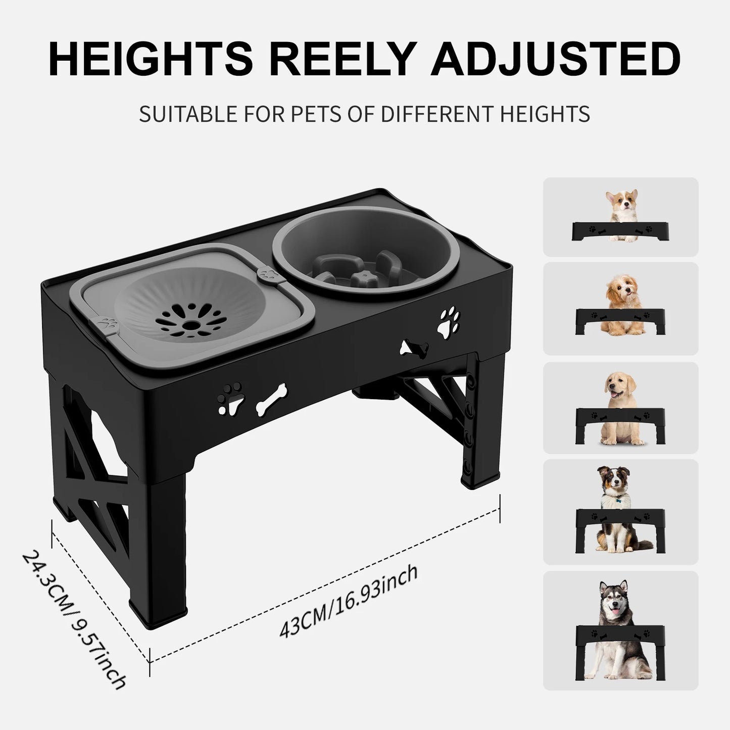 3 In 1 Adjustable Pet Feeder Slow Feed Double Bowls
