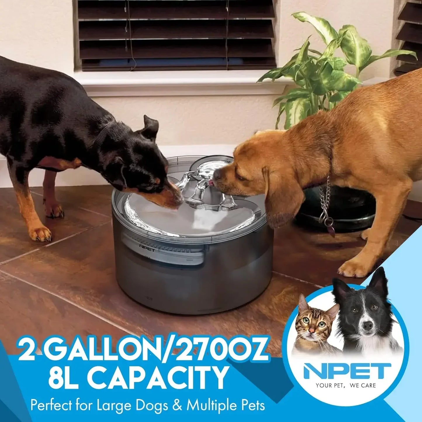Npet Large Automatic Dog Water Fountain 8L 2 Gallon Water Dispenser with Splatter Guard for Multiple Pets and Large Dogs