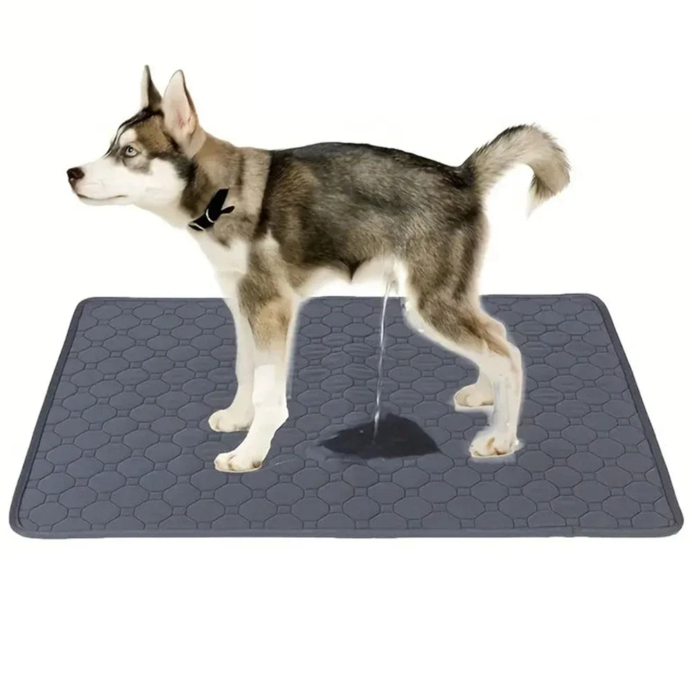 Reusable Dog Pee Pad Absorbent Training Pad Washable Pet