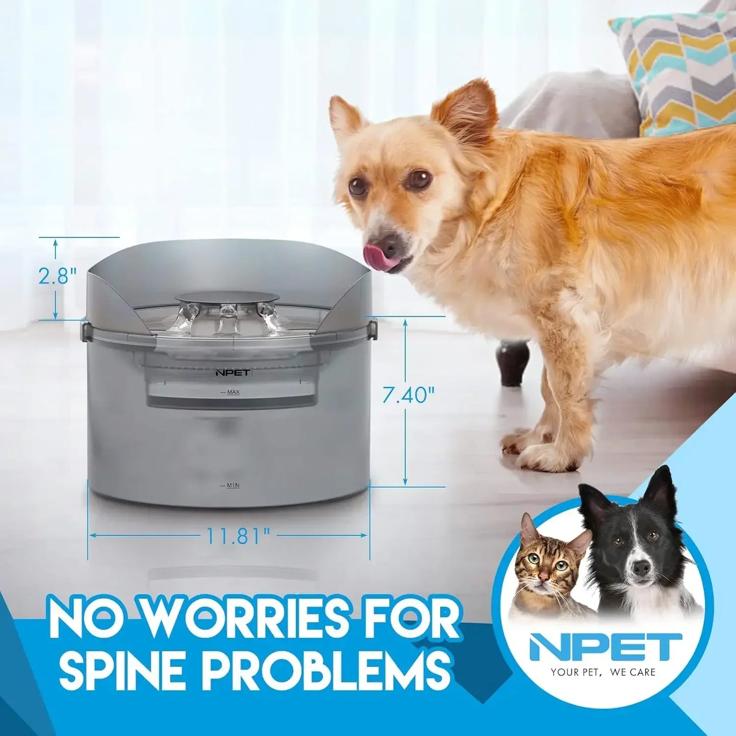 Npet Large Automatic Dog Water Fountain 8L 2 Gallon Water Dispenser with Splatter Guard for Multiple Pets and Large Dogs