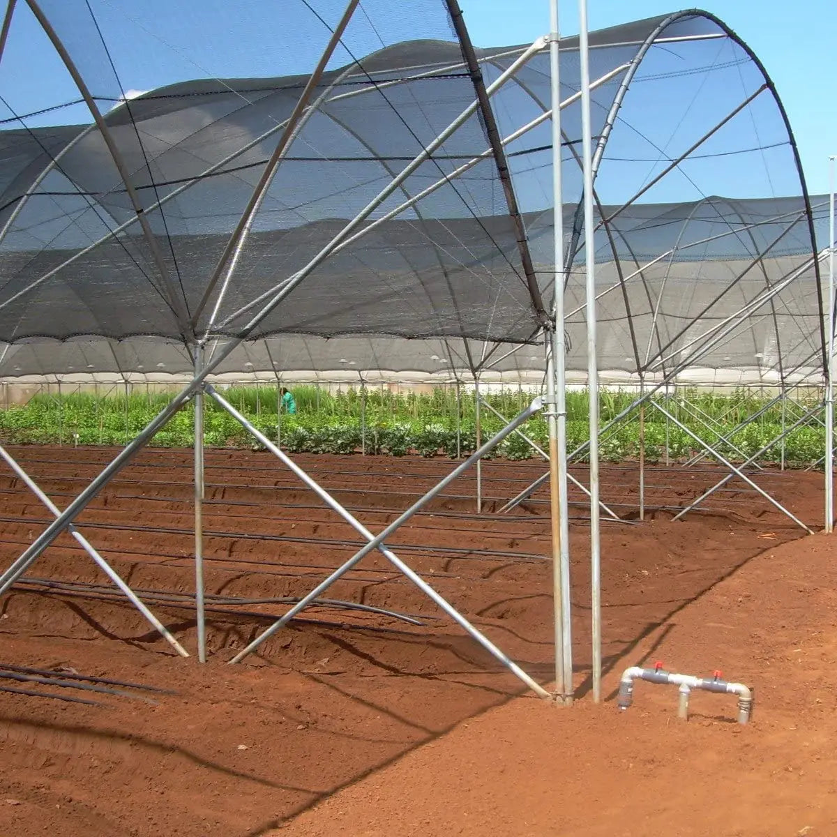 6.5 Ft X 20 Ft 50 Percent Sunblock Shade Cloth Black