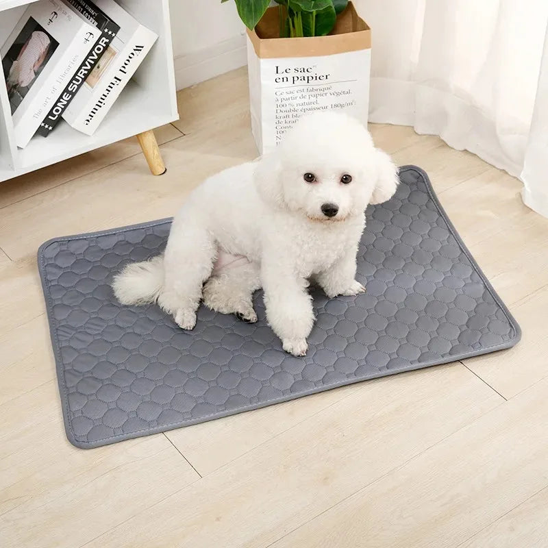 Reusable Dog Pee Pad Absorbent Training Pad Washable Pet