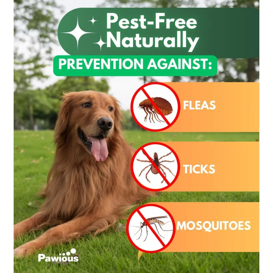 Flea and Tick Prevention Chewables for Dogs Natural Oral Flea and Tick Control Supplement