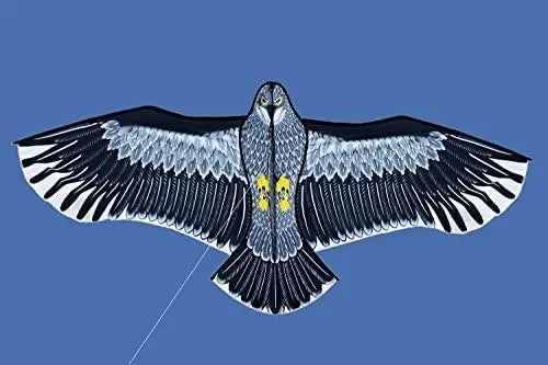 New Outdoor Fun Sports Huge 185cm Eagle Kite With Handle Line Novelty Toy For Adults And Kids Large Good Flying