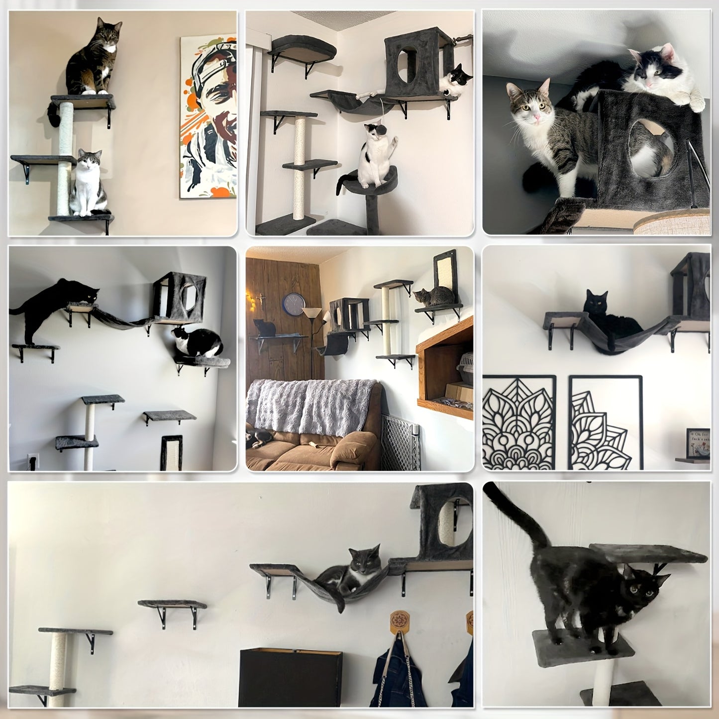 6 Pcs Deluxe Wall Mounted Cat Climbing Shelf Multi Level